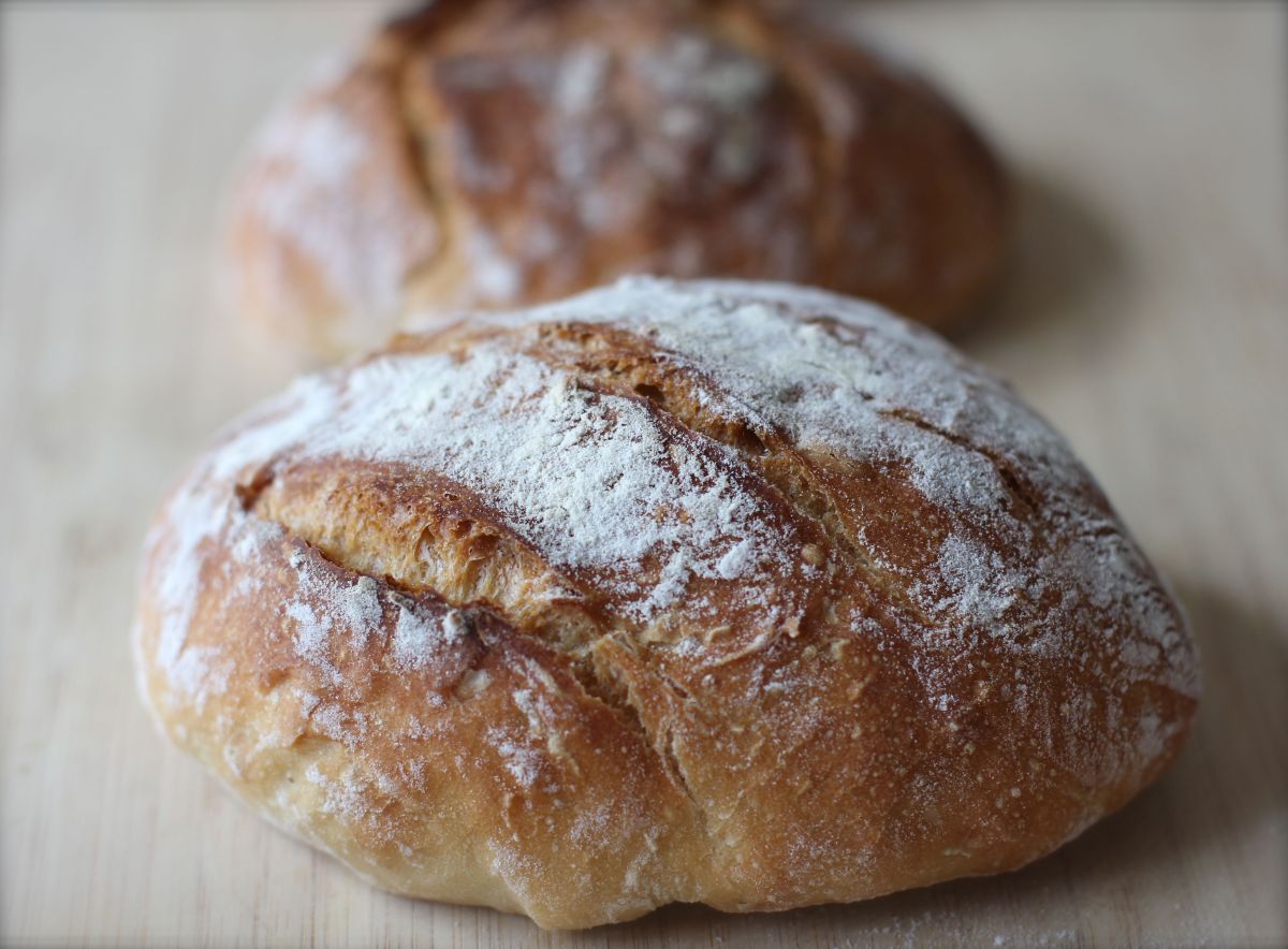 Pain sans pétrissage