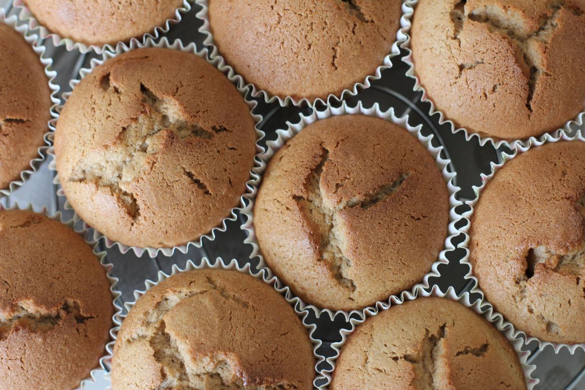 Muffins à la Chataigne