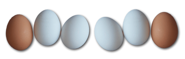 © Veggie Gourmande 2013